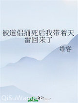 被道侣捅死后我带着天雷回来了小说