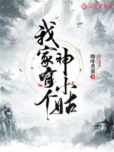 我家有个神小姑小说