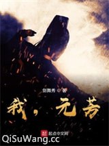 我，元芳？小说