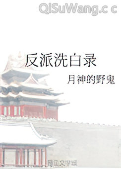 反派洗白录小说