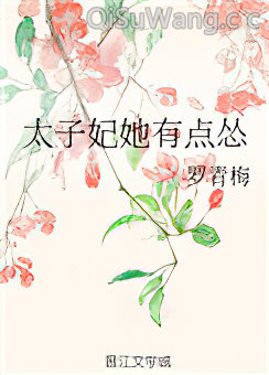 太子妃她有点怂小说