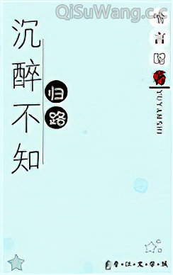 沉醉不知归路小说