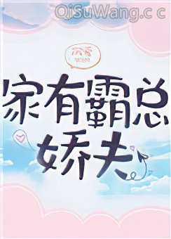 家有霸总娇夫（女尊）小说