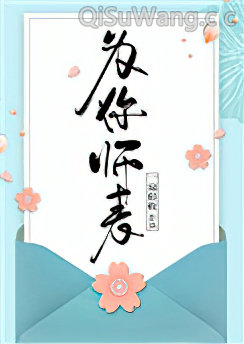 为你师表小说