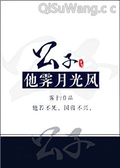 公子他霁月光风小说