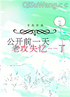 公开前一天，老攻失忆了小说