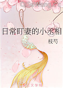 日常盯妻的小丞相小说