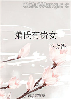 萧氏有贵女小说