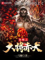 海贼之大将赤犬小说