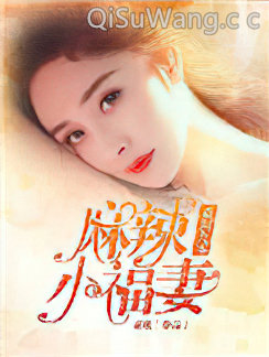 重回九零麻辣小福妻小说