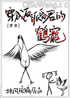 穿成反派昏君的鹤宠小说