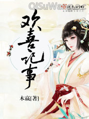 欢喜记事小说