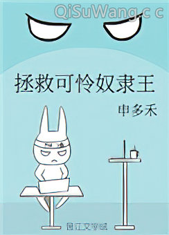 拯救可怜奴隶王小说