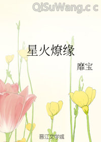星火燎缘（GL）小说