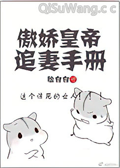 傲娇皇帝追妻手册小说