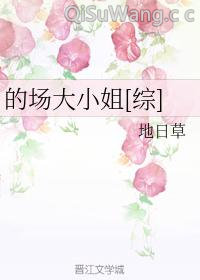 的场大小姐[综]小说