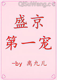 盛京第一宠小说