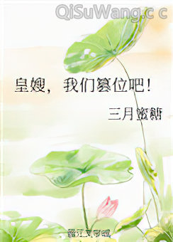 皇嫂，我们篡位吧！小说