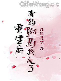 重生后我的驸马换人了小说