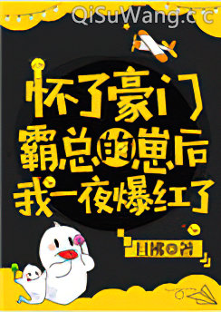 怀了豪门霸总的崽后我一夜爆红了小说