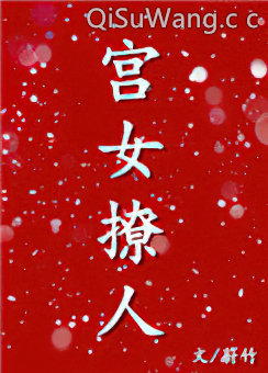 和亲之宫女撩人小说