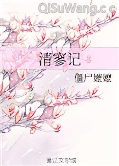 清寥记小说