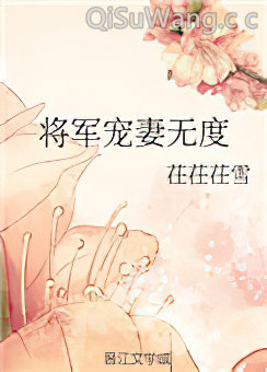 将军宠妻无度小说