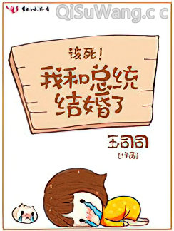 我和总统结婚了小说