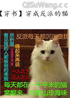 穿成反派的猫小说