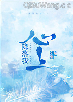 降落我心上小说