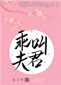 乖，叫夫君小说