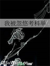 我被忽悠考科举小说