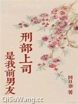 刑部上司是我前男友小说