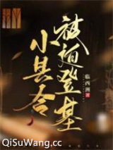 小县令被迫登基（基建）小说