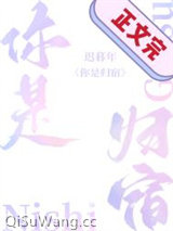你是归宿小说