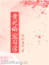 贵妃娇宠日常小说
