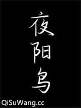 夜阳鸟小说