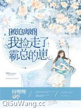 被迫离婚,我捡走了霸总的崽小说