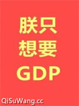 朕只想要GDP小说