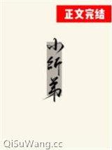 被无情道小师弟倒追了小说