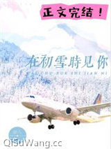 在初雪时见你小说