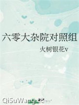 六零大杂院对照组小说