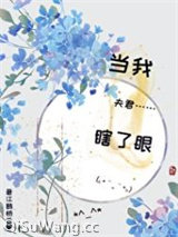 当我夫君瞎了眼小说
