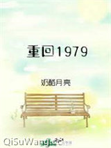 重回1979小说