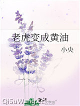老虎变成黄油小说