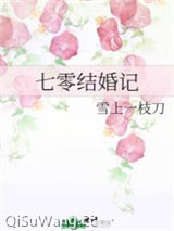 七零结婚记小说