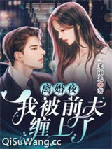 离婚夜，我被前夫缠上了小说