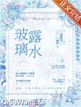 玻璃露水小说