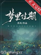 梦里佳期小说