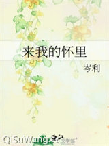 来我的怀里小说